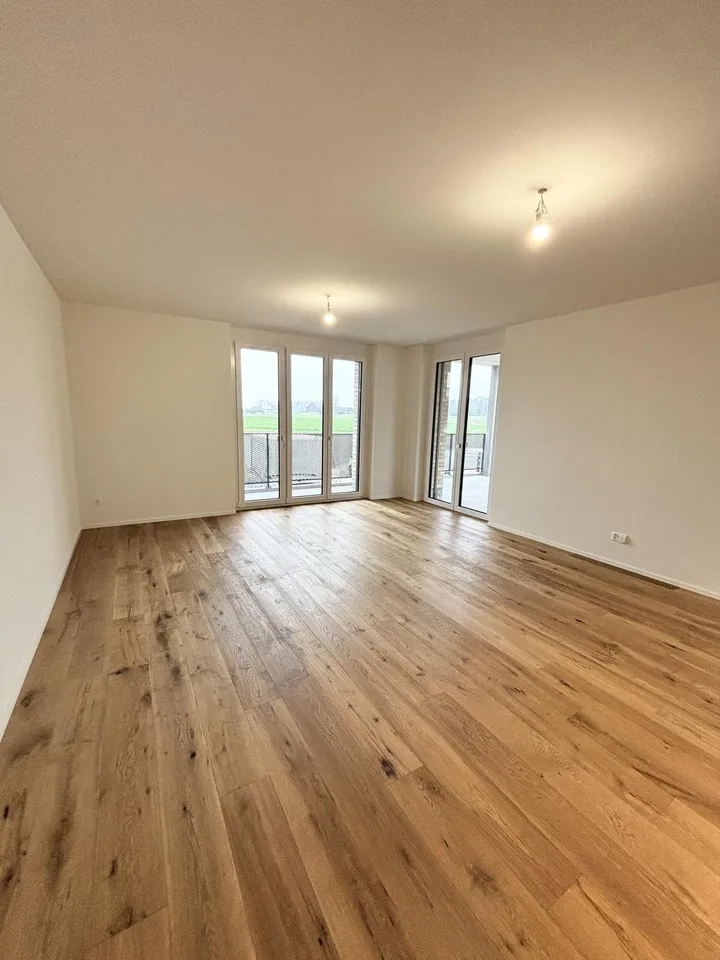 Moderne 4 ½ Zimmer-Wohnung im Ziegeleiquartier, Berg TG