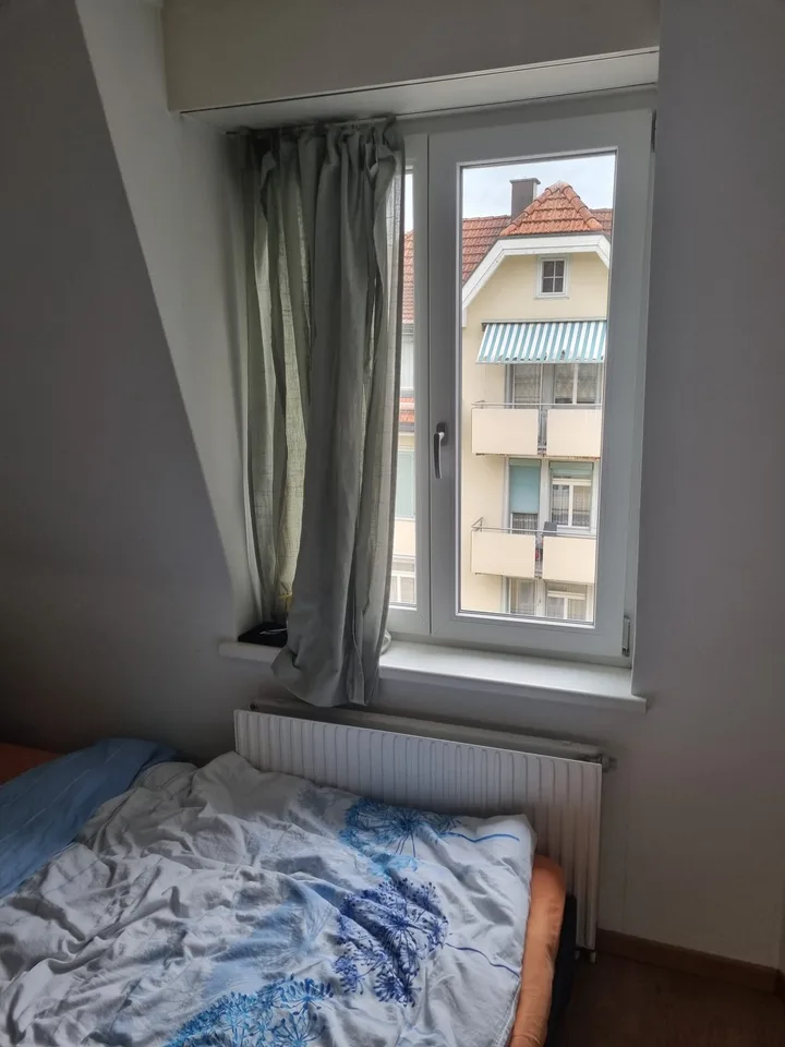 room in a shared apartment for august