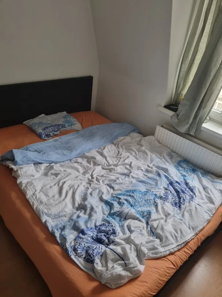 room in a shared apartment for august