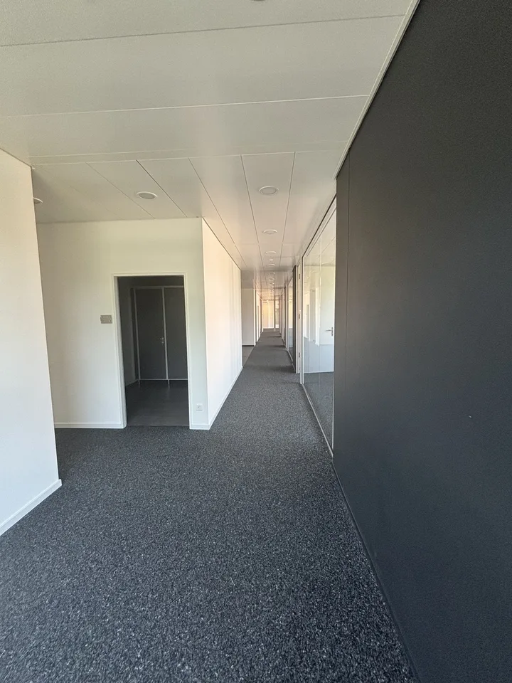 Moderne Bürofläche mit Top-Anbindung – 384.2 m² im Minergie®-Standard – foto 20 di 24