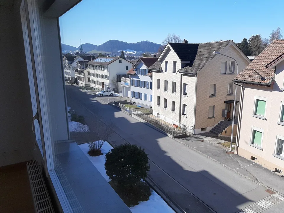 2.5 Zimmer Wohnung / Perfekt für Single