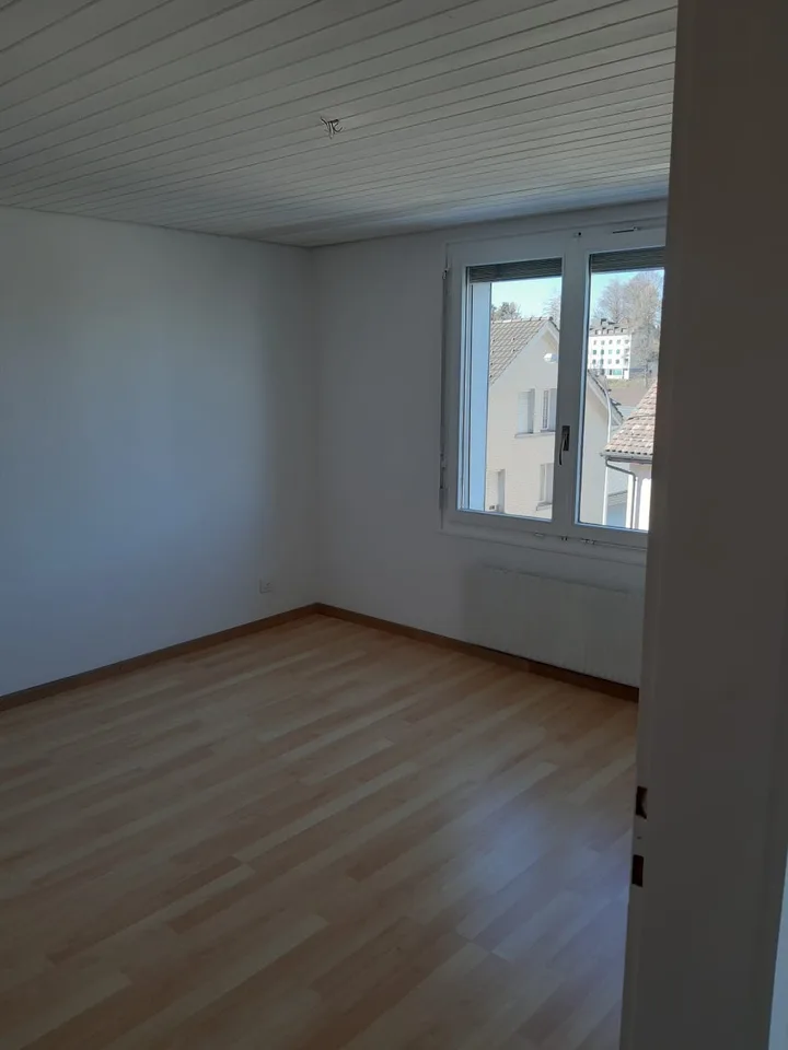 2.5 Zimmer Wohnung / Perfekt für Single
