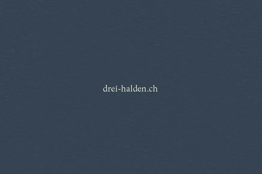 Neubauprojekt "Drei Halden" - 4.5-Zi. Wohnung im OG – photo 9 sur 10