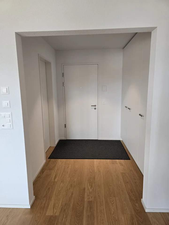 Moderne Wohnung in Wetzikon ZH - Befrsitet auf 1 Jahr (Starttermin nach Absprache)