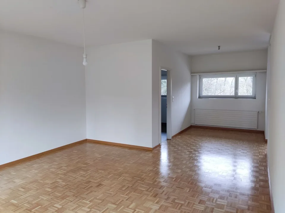 Steuergünstig, unbefr. -- moderne, helle 2.5 Zi-Whg / low-tax, unlim. -- modern, sunny 2.5 rm apt