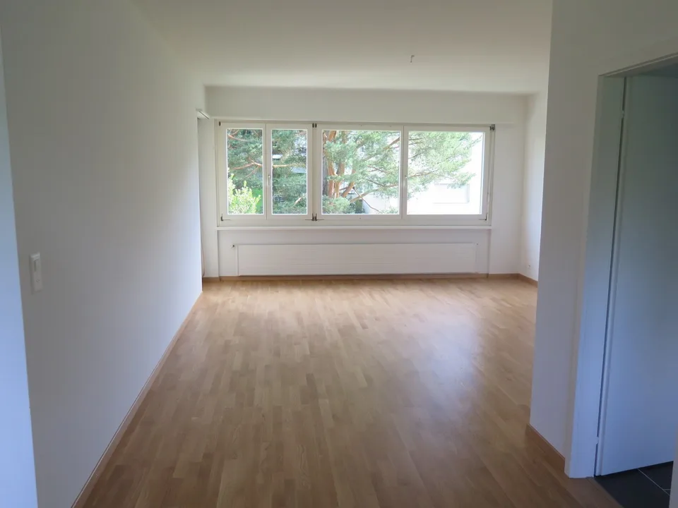 Steuergünstig, unbefr. -- moderne, helle 2.5 Zi-Whg / low-tax, unlim. -- modern, sunny 2.5 rm apt