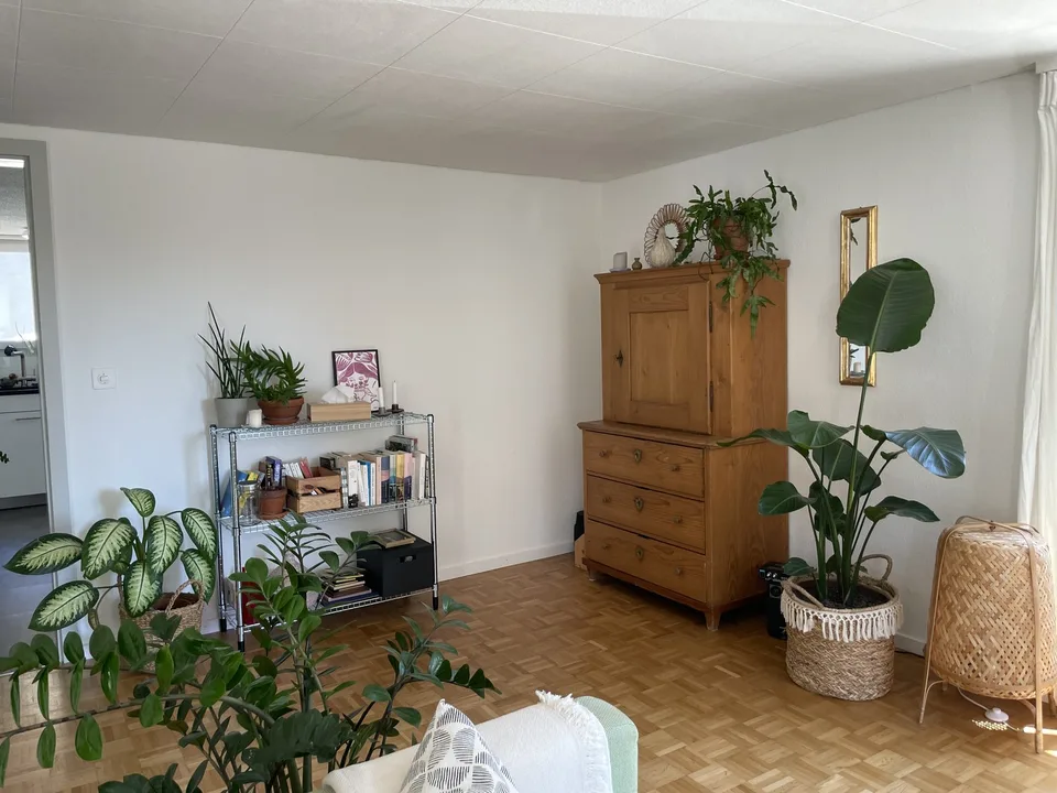 3.5 Zimmer Wohnung mieten