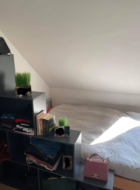 Pendlerzimmer Nähe Airport / ZRH Flughafen Zürich, Embrach