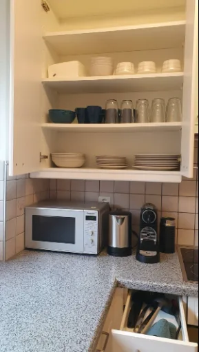 Cozy apartment in Zurich Wiesendangen