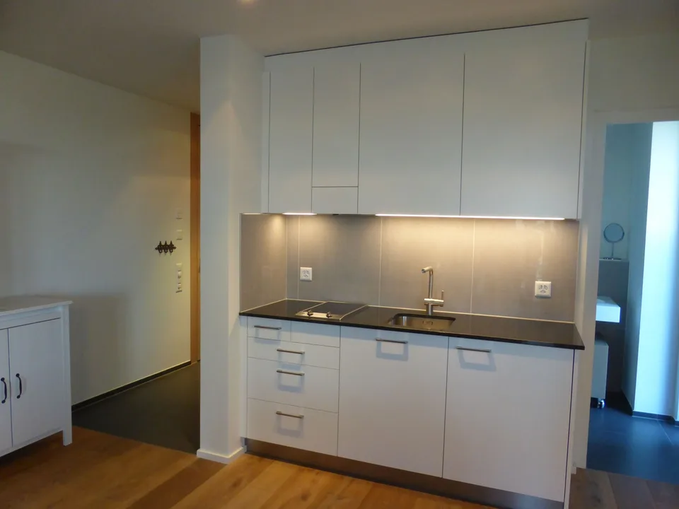 Grosse möblierte 1-Zimmer-Wohnung