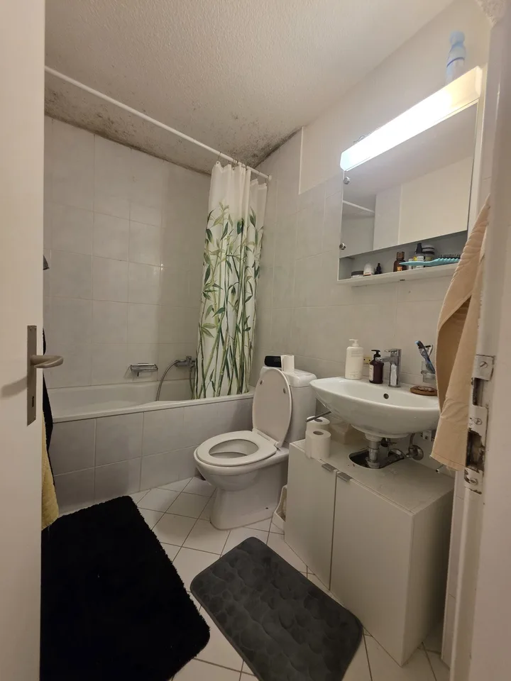 Mitbewohner in 4-Zi. Wohnung in Winterthur gesucht