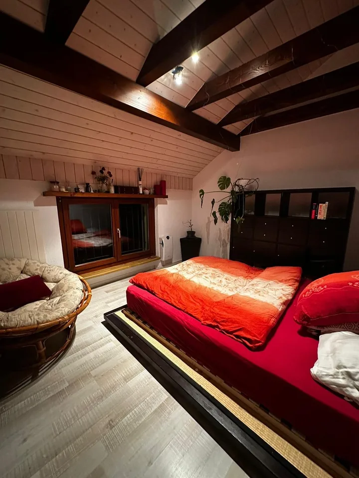 WG Zimmer in grosser schöner Wohnung