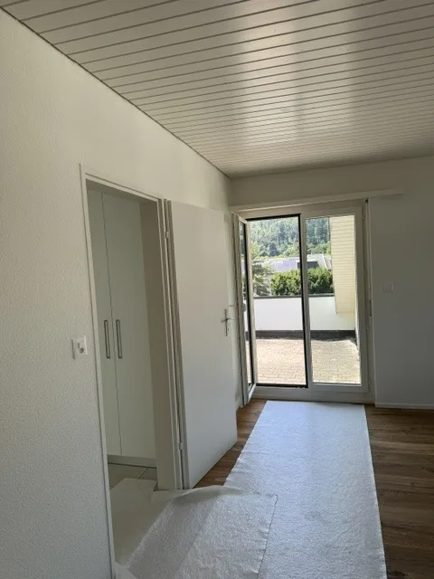 Grosse, helle Dachwohnung mit grosser Dachterrasse