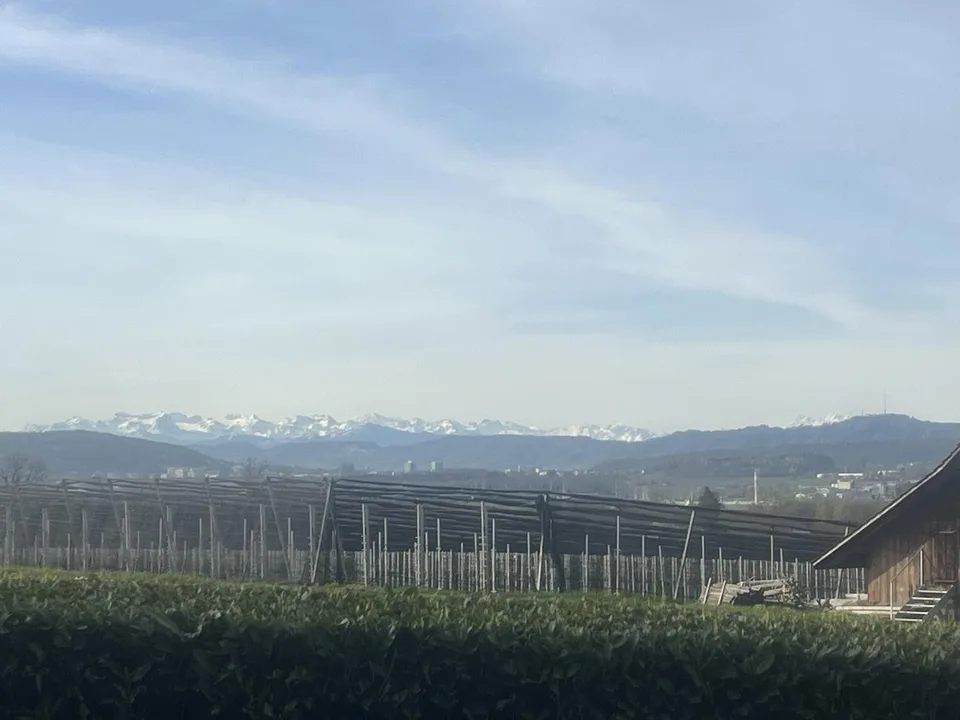 Möbliertes Zimmer (ca. 10,5m2) mit Blick auf Flughafen & Schneeberge – ideal für ZRH Flughafenpersonal (Einzug: Anfang Sept.26 oder nach Vereinbarung)