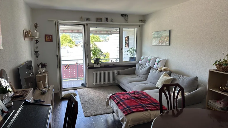 4-Zimmer-Wohnung in Winterthur Seen – Nachmieter gesucht ab 01.08.2026