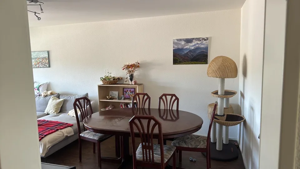 4-Zimmer-Wohnung in Winterthur Seen – Nachmieter gesucht ab 01.08.2026