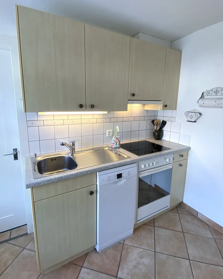 3 ZI-WOHNUNG IN RICKENBACH SULZ (ZH), MÖBLIERT, TEMPORÄR