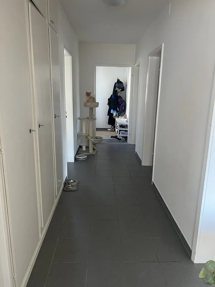 4 Zimmer-Wohnung
