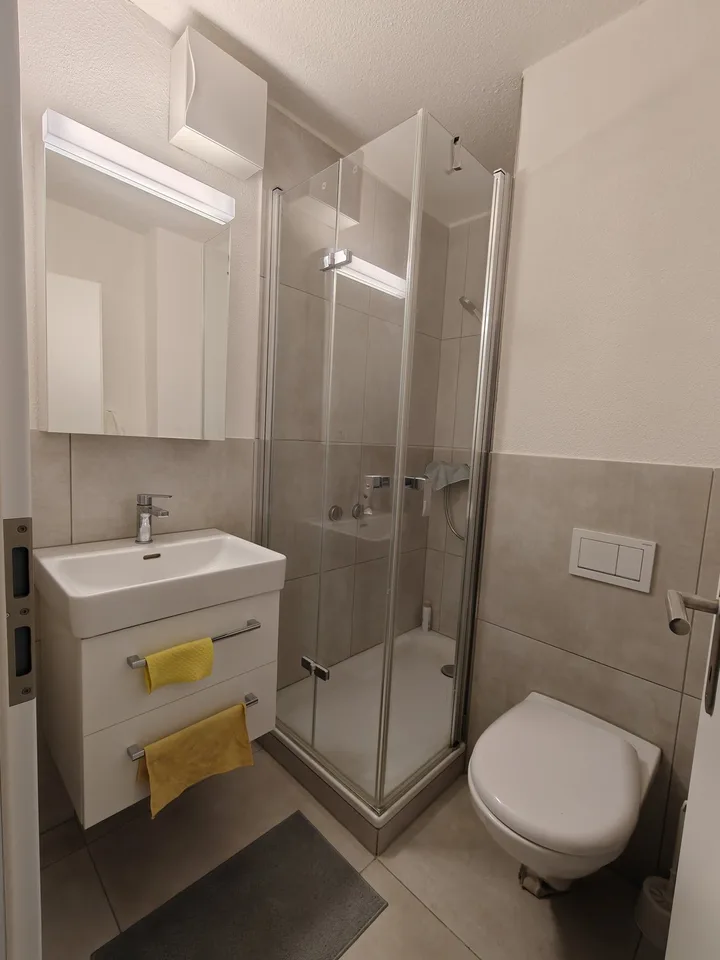 Sublet a 1 ½ rooms apartment in Winterthur