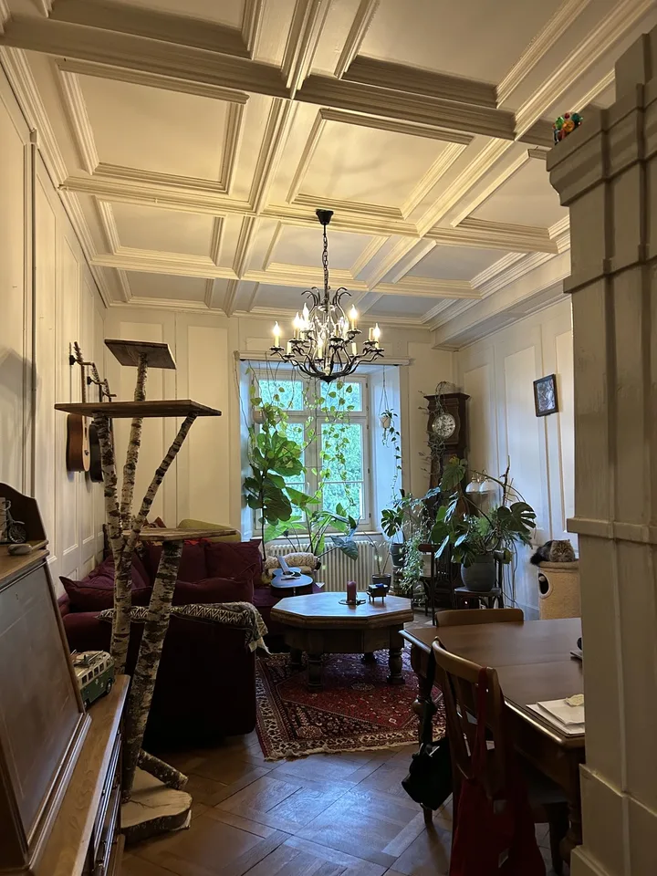 ✨ Meine wunderschöne Altbauwohnung in der Winterthurer Altstadt sucht neue Bewohner:innen ✨