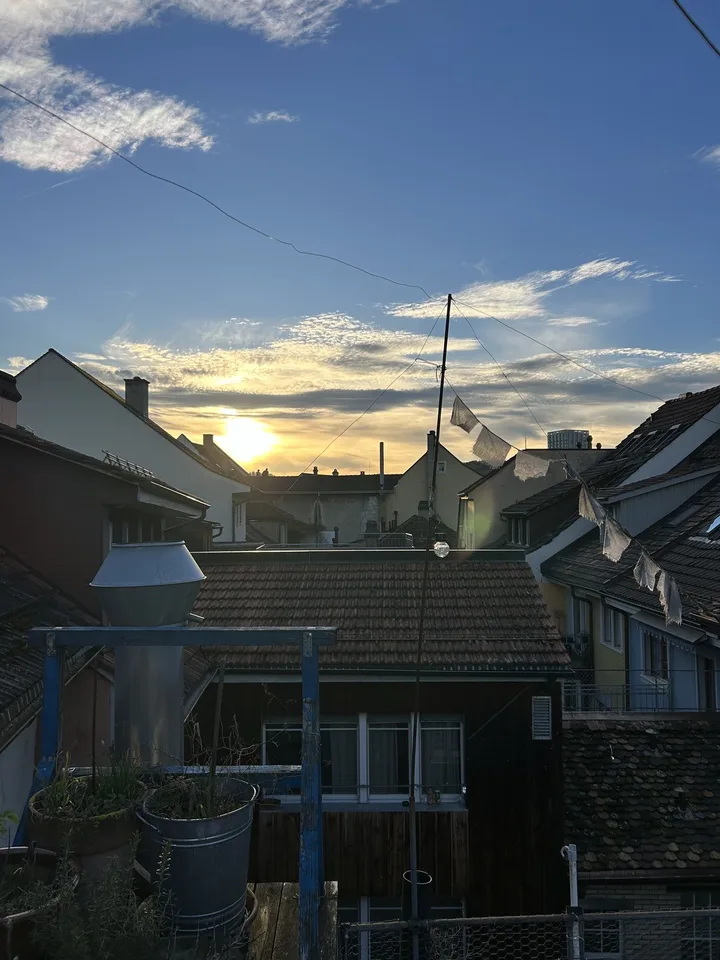 ✨ Meine wunderschöne Altbauwohnung in der Winterthurer Altstadt sucht neue Bewohner:innen ✨