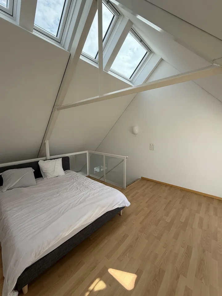 Traumhafte 3.5-Zimmer Triplex-Wohnung, 2 Gehminuten vom Bahnhof Baden