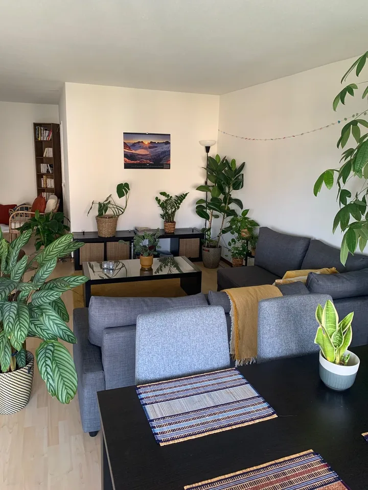 Unfurnished Room to Rent for one semester