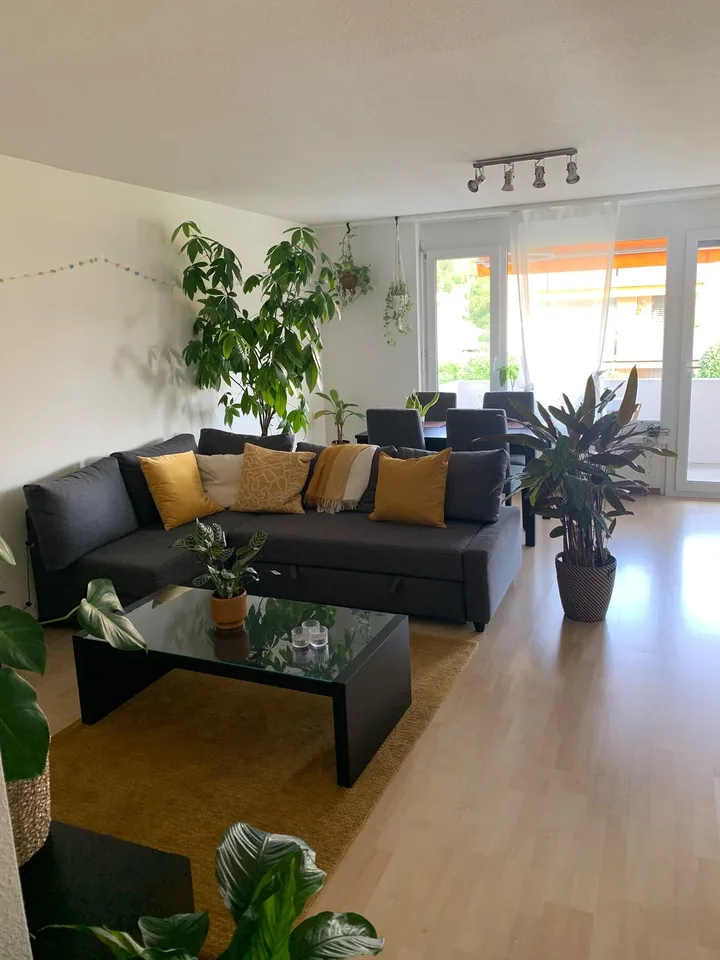 Unfurnished Room to Rent for one semester