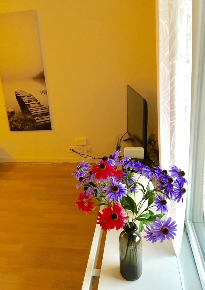 Möblierte Wohnung mit Balkon / Fully furnished studio apartment with balcony