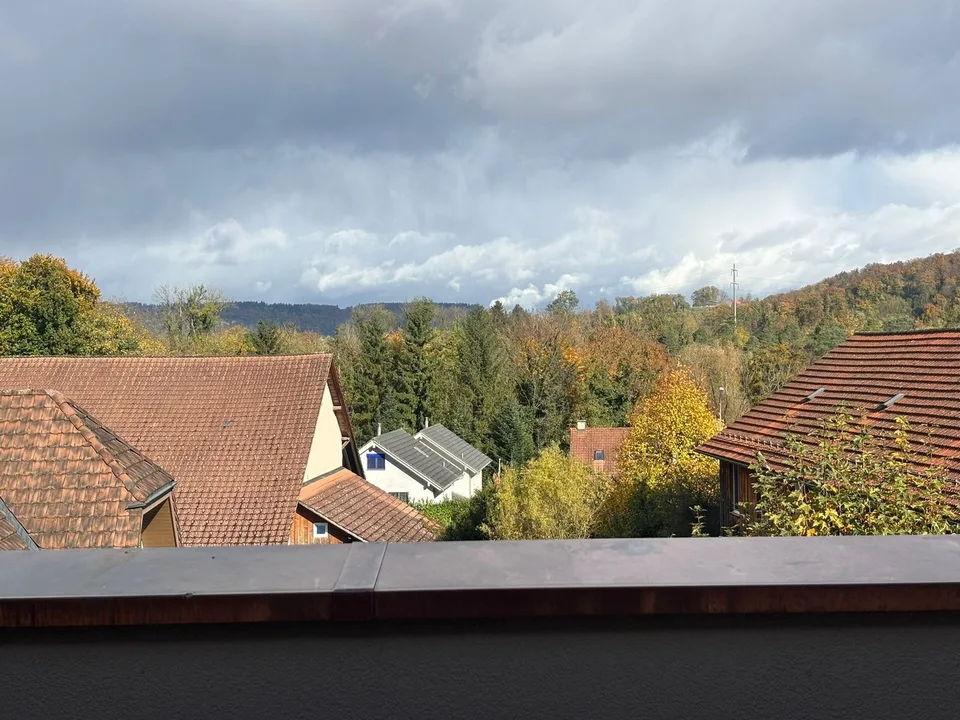 1.5-Zimmerwohnung – modern, kompakt und mit Balkon in Mülligen