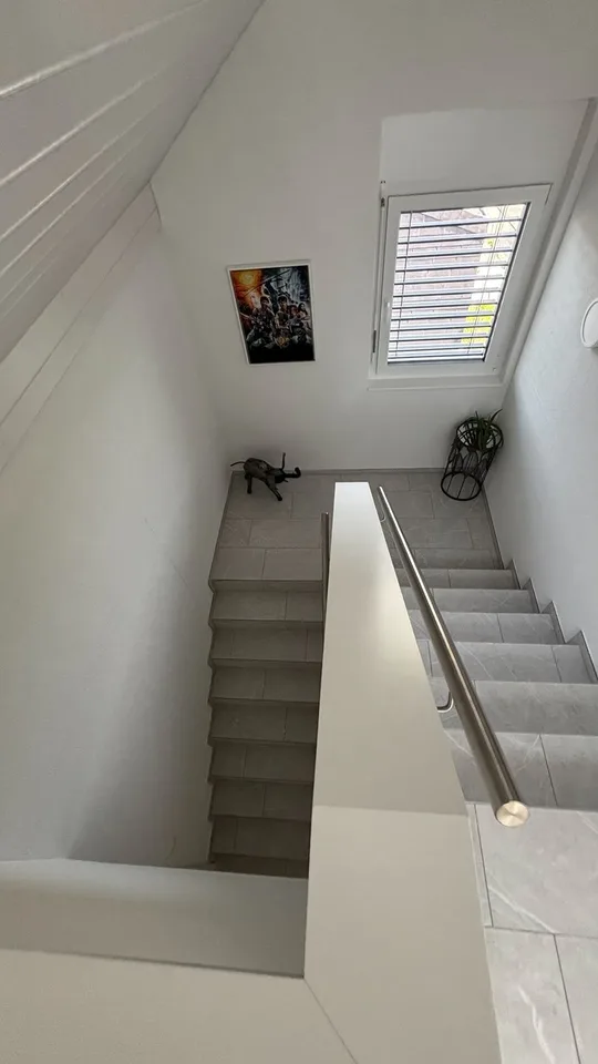4.5-Duplex-Wohnung in Ehrendingen