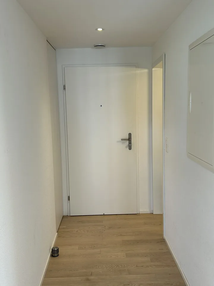 Available for rent in Kirchdorf, Aargau