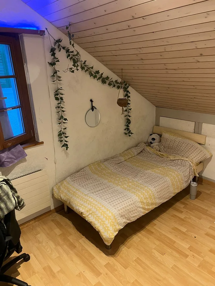 4,5 Zimmer Wohnug