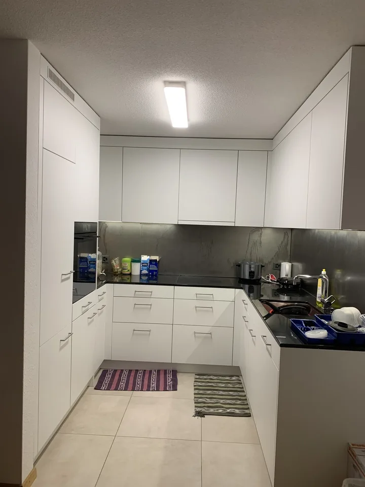 Private Room + Private Toilet - only 600 CHF (if help in baby sitting daily- only for females))