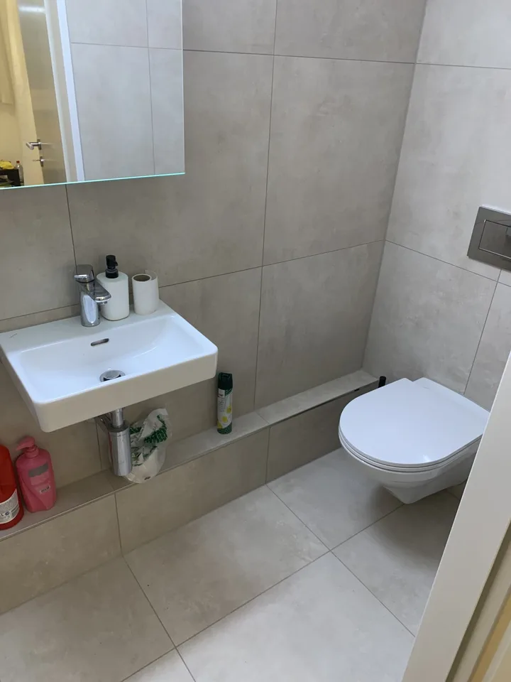 Private Room + Private Toilet - only 600 CHF (if help in baby sitting daily- only for females))