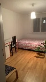 Private Room + Private Toilet - only 600 CHF (if help in baby sitting daily- only for females))