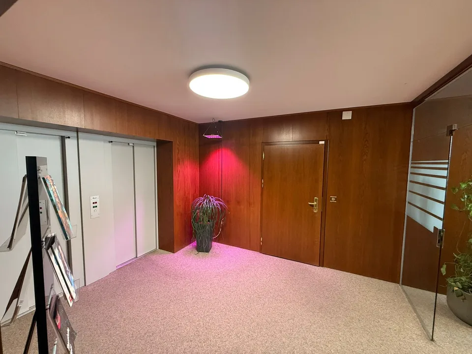 Helle Bürofläche mit grossem Empfangsbereich an attraktiver Lage in Regensdorf