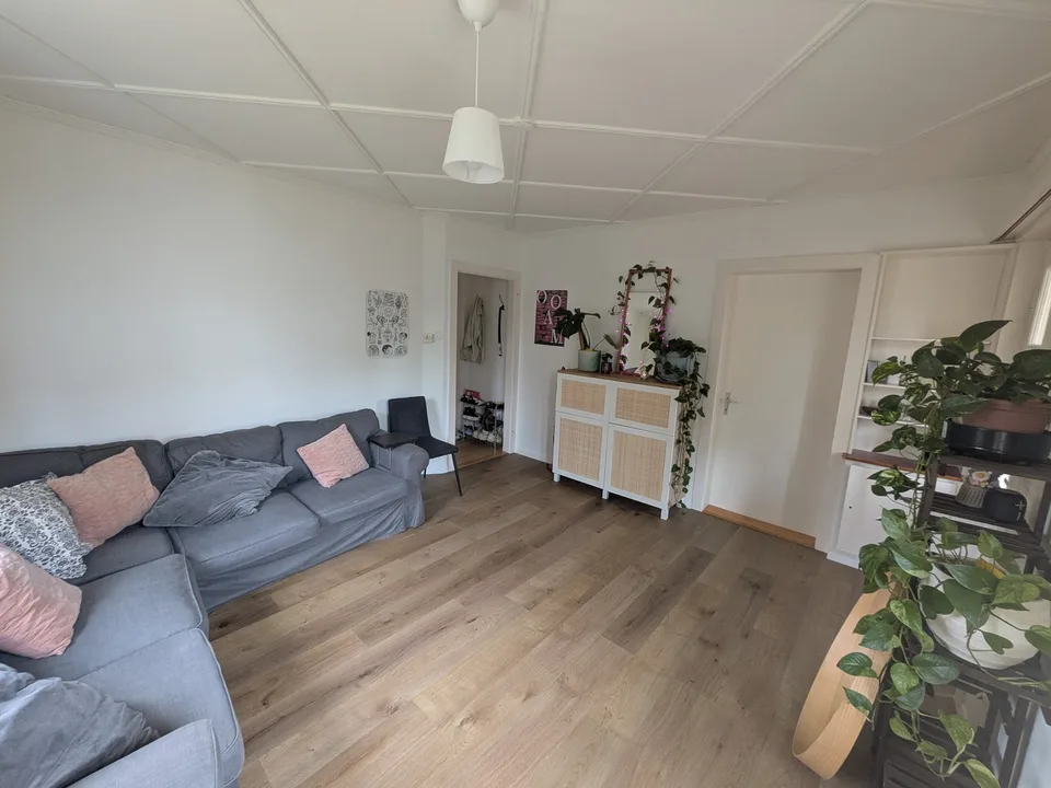 WG Zimmer Wettingen
