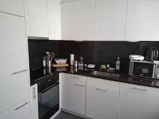 Zentrales möbliertes WG-Zimmer in Zürich 8004 – Bäckeranlage / Langstrasse