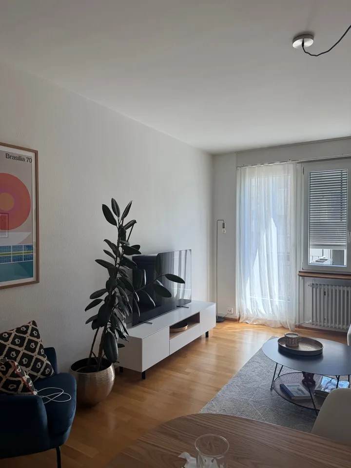 3-Zimmerwohnung im Seefeld