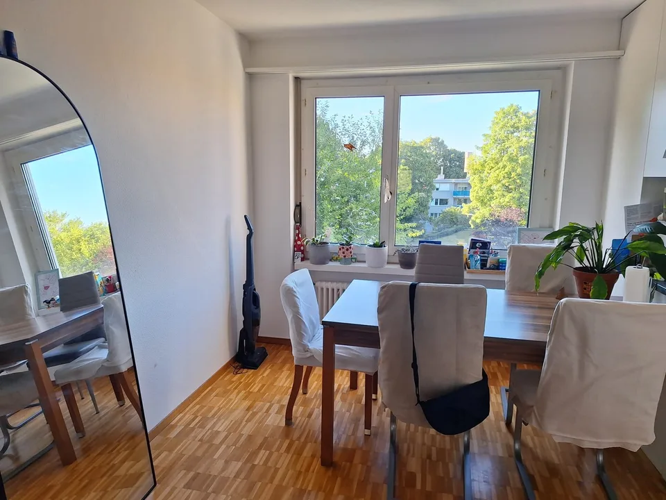 WG-Zimmer verfügbar mit Option auf Wohnungs-Übernahme per Dezember