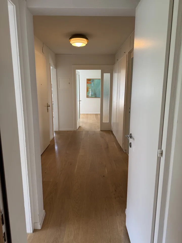 Lake View Apartment in Küsnacht