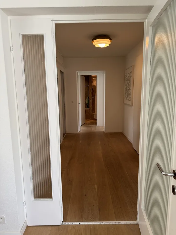 Lake View Apartment in Küsnacht