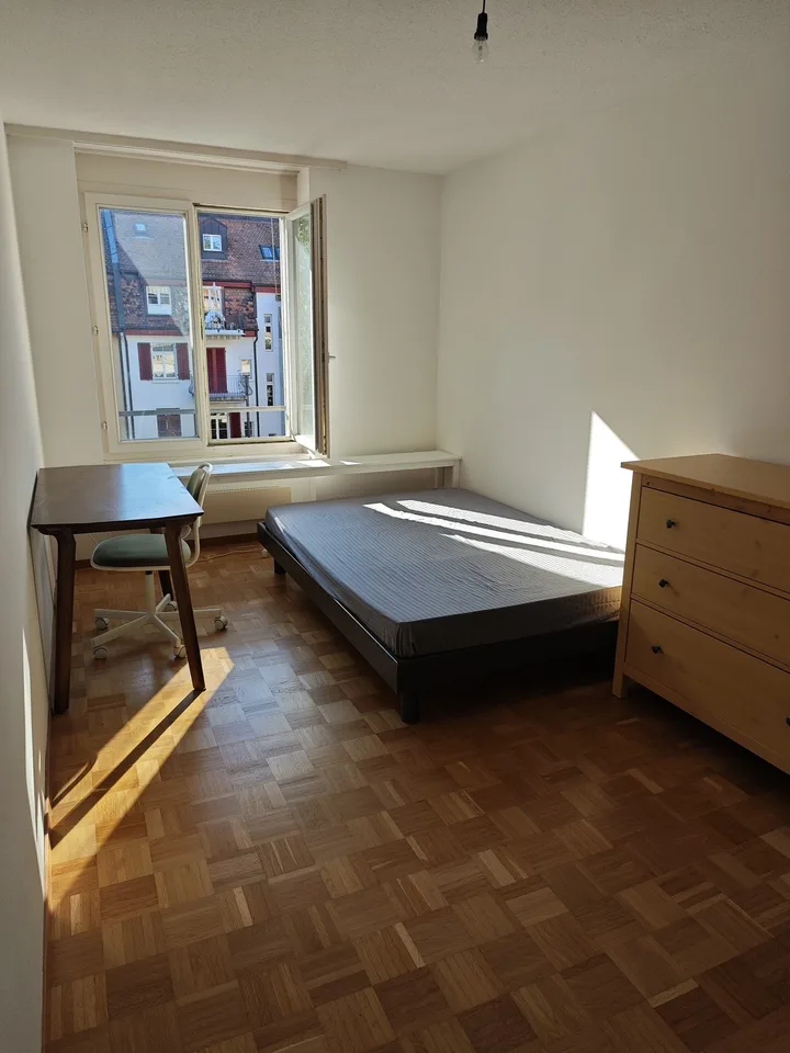 Bright Furnished 3-Room Apartment for Short-Term Sublease in Wipkingen