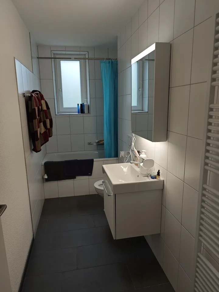Bright Furnished 3-Room Apartment for Short-Term Sublease in Wipkingen