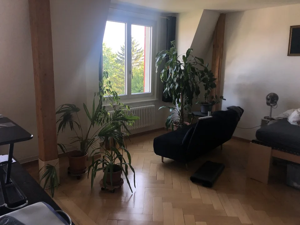 Befristetes Zimmer in schöner DG-Wohnung (alleinige Nutzung)