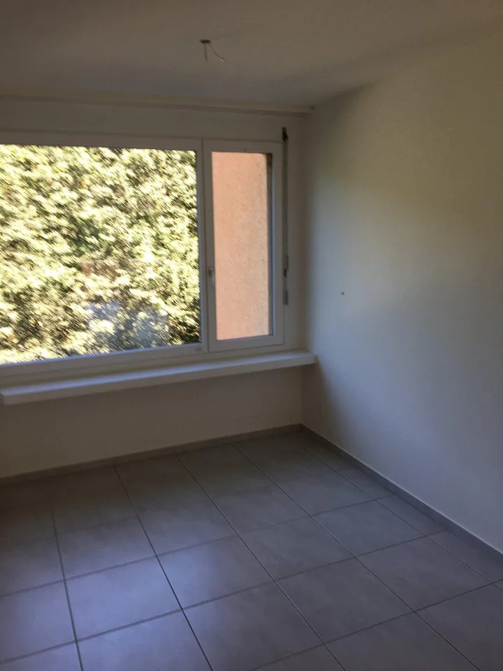 Bright 4.5-room apartment in Zurich Leimbach available immediatly or by agreement