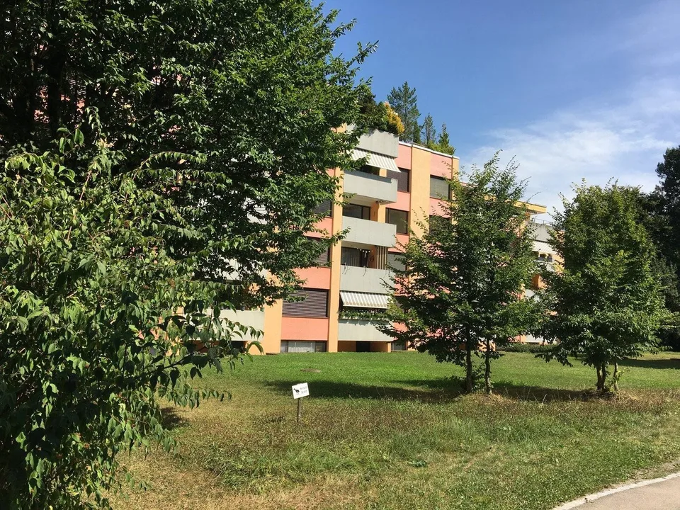 Bright 4.5-room apartment in Zurich Leimbach available immediatly or by agreement