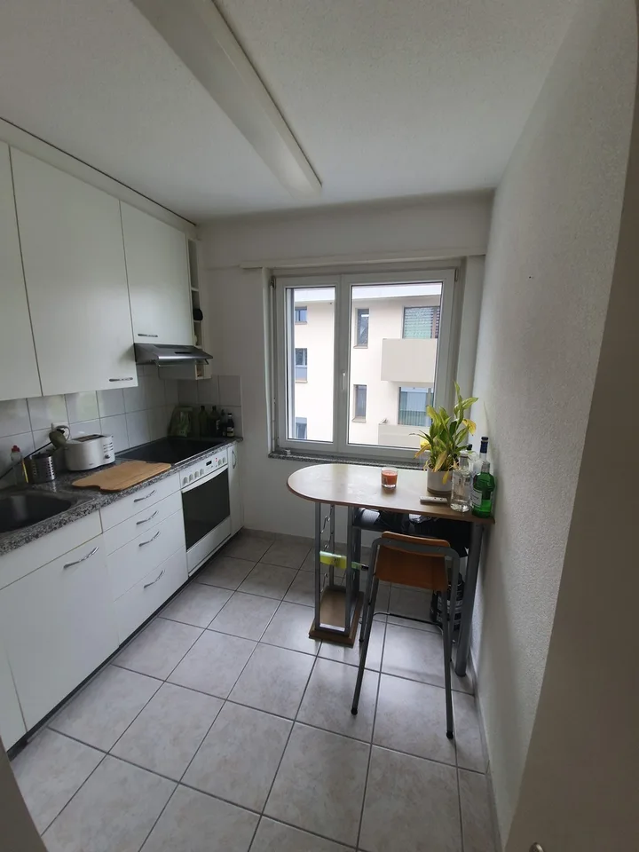 1 bedroom apartment with lake view (temporary)
