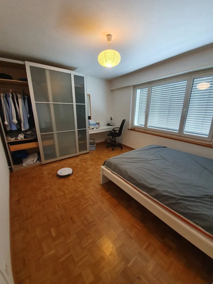 1 bedroom apartment with lake view (temporary)